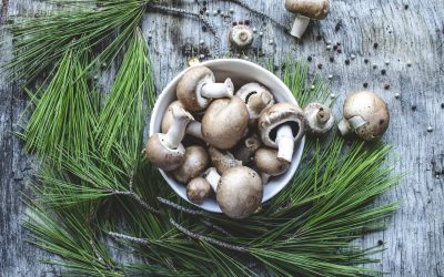 “Stuffing”- Stuffed Mushroom Recipe