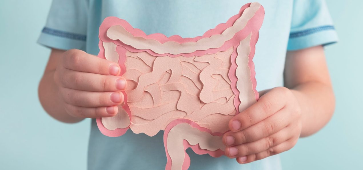 digestive problems, image of digestive system